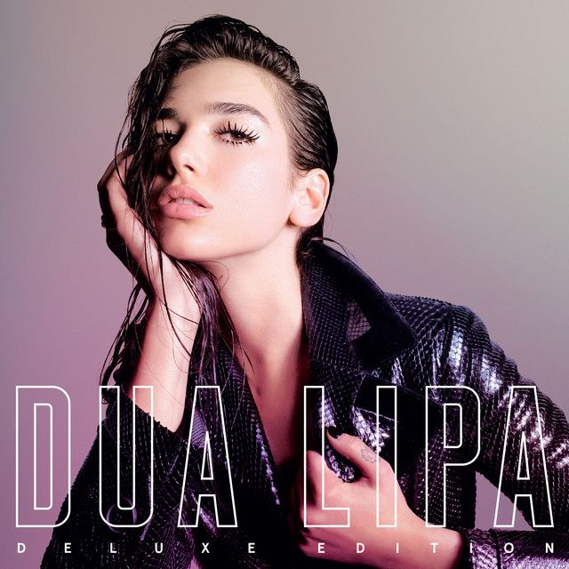 متن آهنگ No Goodbyes از Dua Lipa