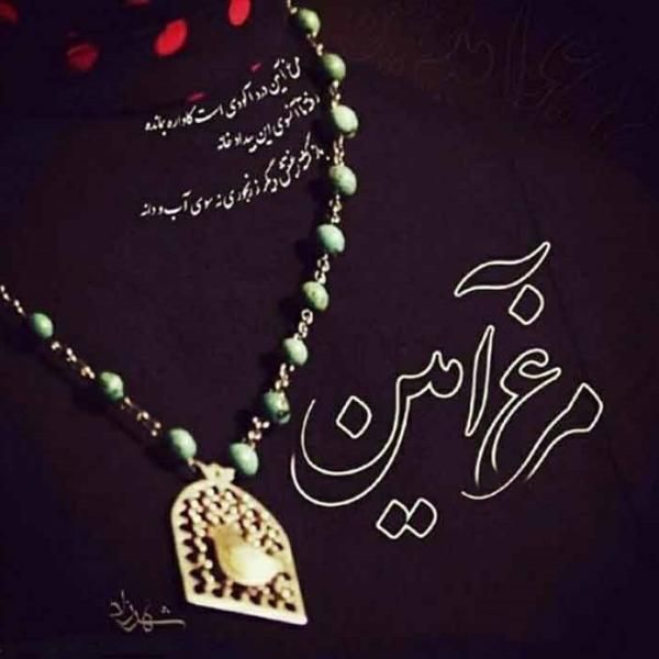 متن آهنگ مرغ آمین از امین بانی