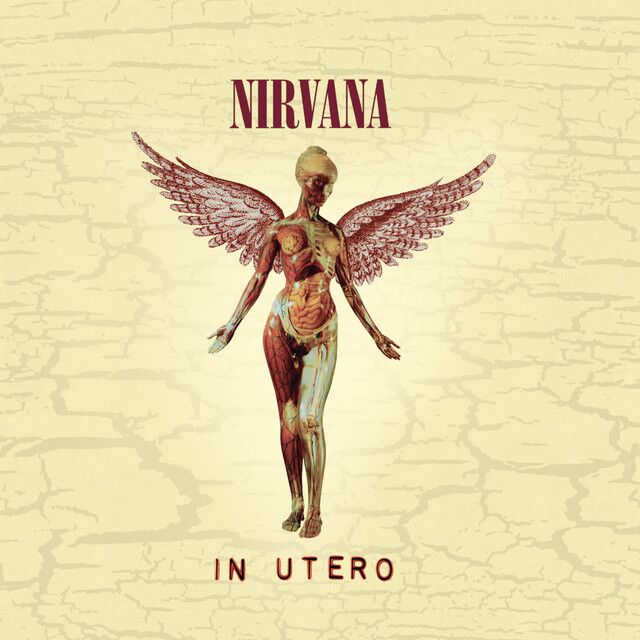 کاور آهنگ Heart-Shaped Box از Nirvana
