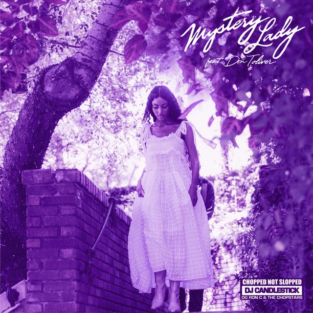 متن آهنگ Mystery Lady - ChopNotSlop Remix از Don Toliver