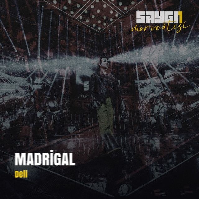 کاور آهنگ Deli - Saygi1 از Madrigal