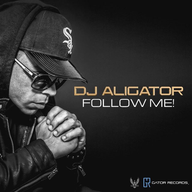 متن آهنگ Follow Me! از DJ Aligator