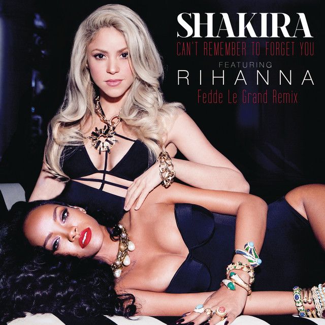متن آهنگ Can't Remember to Forget You (feat. Rihanna) - Fedd