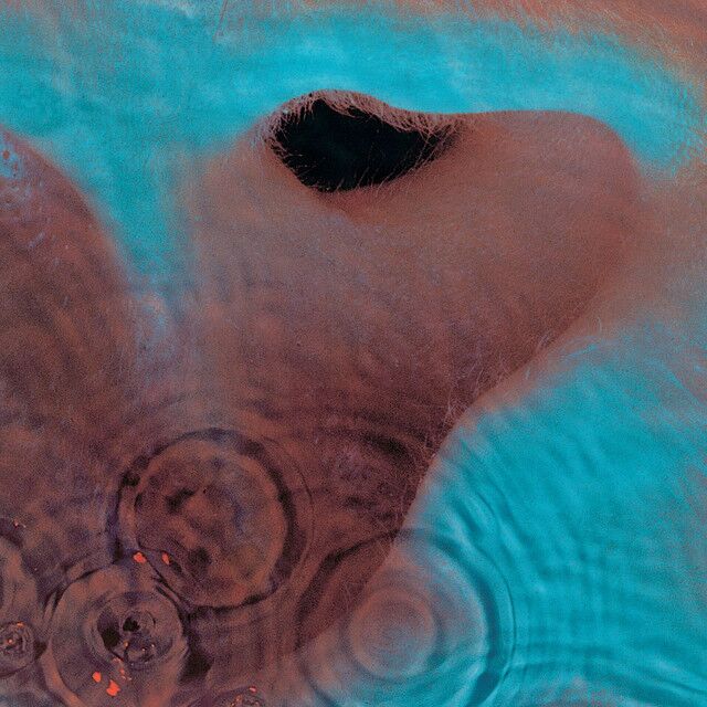 متن آهنگ A Pillow Of Winds - 2011 Remastered Version از Pink