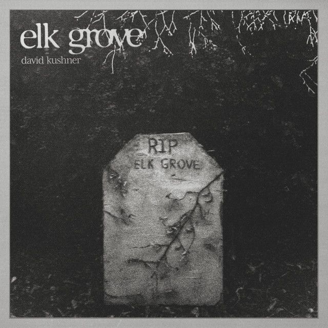متن آهنگ Elk Grove از David Kushner