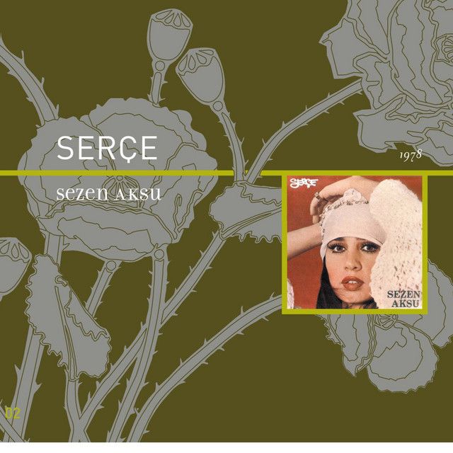 متن آهنگ Sızı از Sezen Aksu