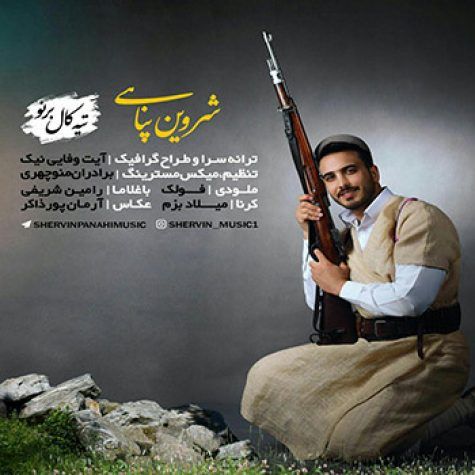 کاور آهنگ تیه کال برنو از شروین پناهی