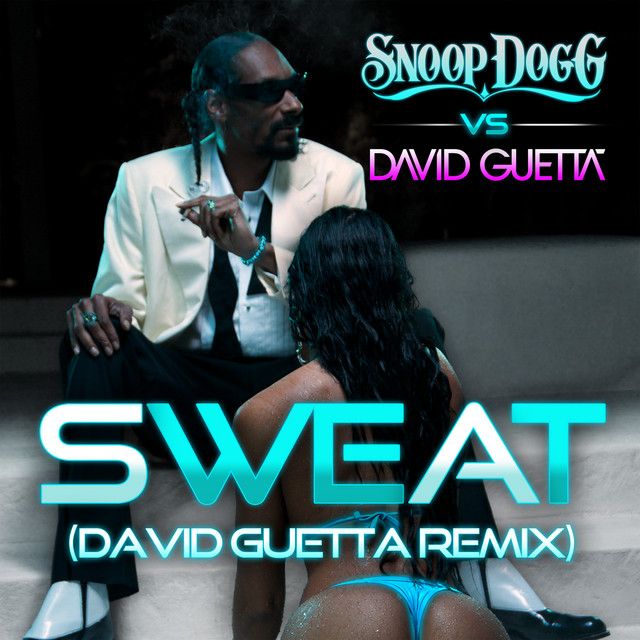 متن آهنگ Wet (Snoop Dogg Vs. David Guetta) - Remix از Snoop 