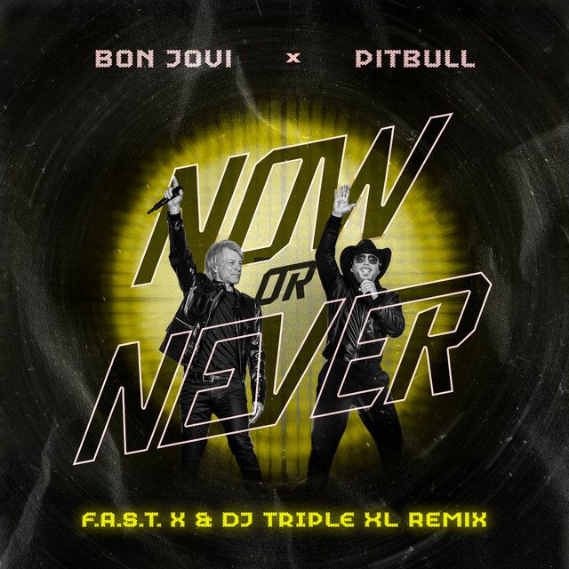 متن آهنگ Now Or Never (F.A.S.T. x & DJ Triple XL Remix) از P