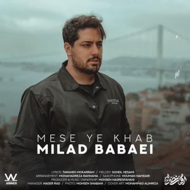 کاور آهنگ مثل یه خوابه از میلاد بابایی