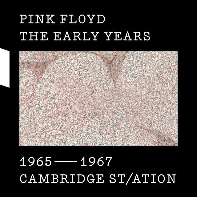 متن آهنگ Vegetable Man - 2010 Mix از Pink Floyd
