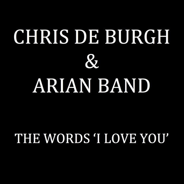 متن آهنگ The Words 'I Love You' - Radio Edit از Chris de Bur