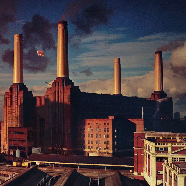 کاور آهنگ Pigs (Three Different Ones) [2011 - Remaster] از Pink Floyd