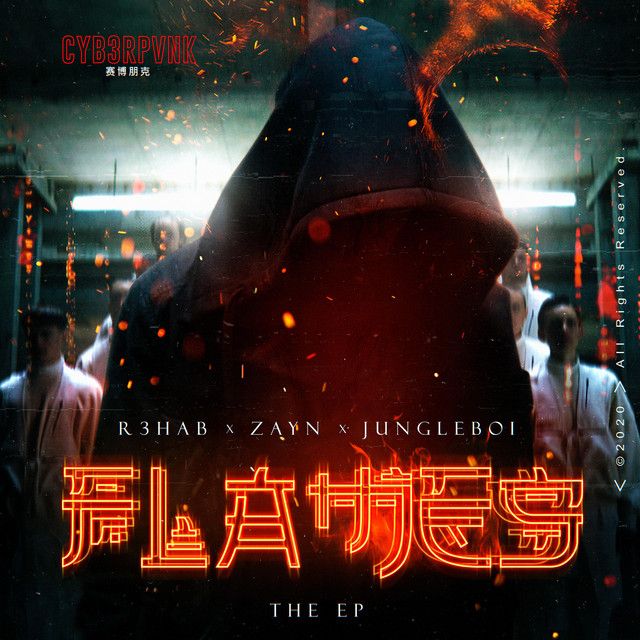 متن آهنگ Flames (with ZAYN) - Steve Aoki Remix از ZAYN
