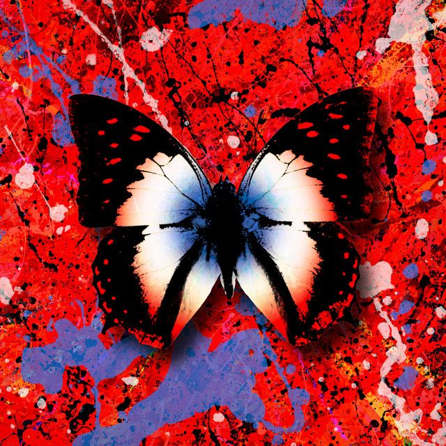 متن آهنگ 2step (feat. Potter Payper) از Ed Sheeran