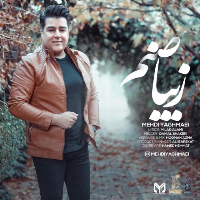 متن آهنگ زیبا صنم از مهدی یغمایی