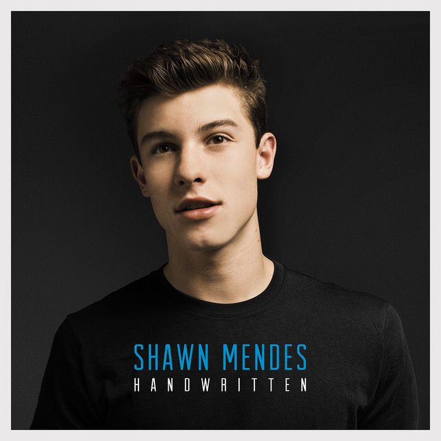 متن آهنگ Stitches از Shawn Mendes