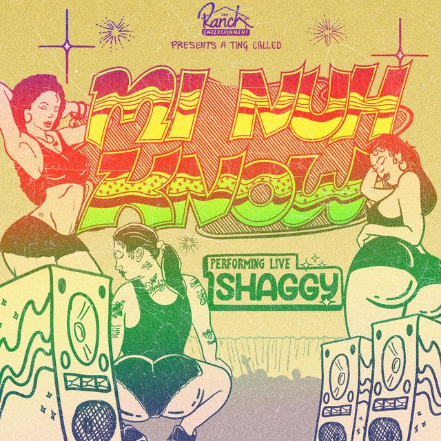 متن آهنگ Mi Nuh Know از Shaggy