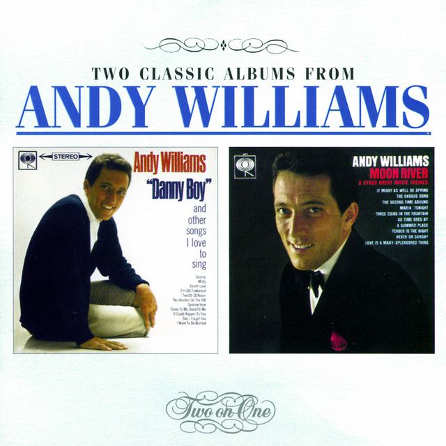 متن آهنگ I Want to Be Wanted از Andy Williams