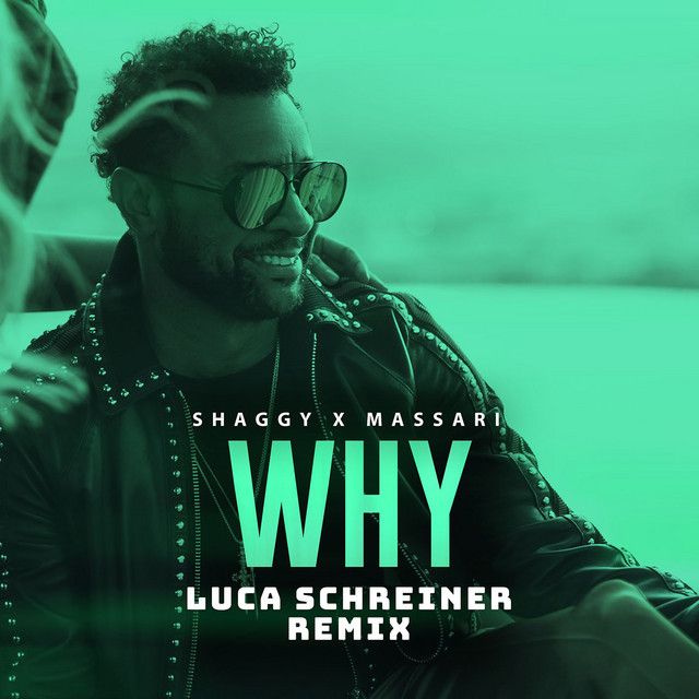 متن آهنگ Why - Luca Schreiner Remix از Shaggy