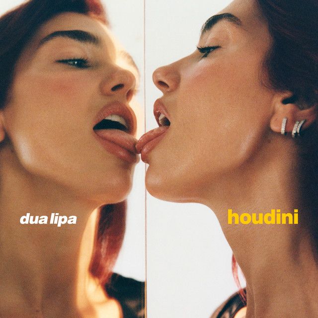 کاور آهنگ Houdini - Extended از Dua Lipa