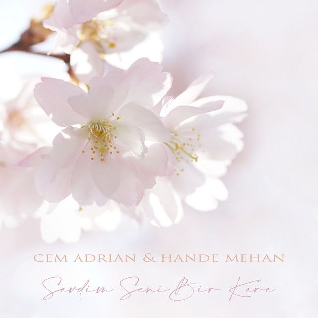 متن آهنگ Sevdim Seni Bir Kere از Cem Adrian