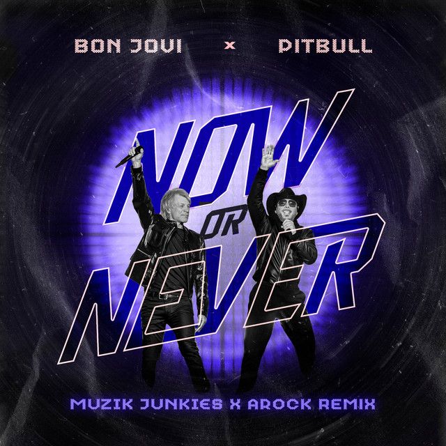 متن آهنگ Now Or Never (Muzik Junkies & AROCK Remix) از Pitbu