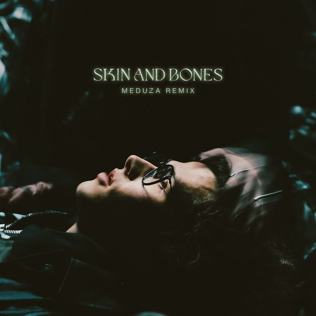 متن آهنگ Skin and Bones - MEDUZA REMIX از David Kushner
