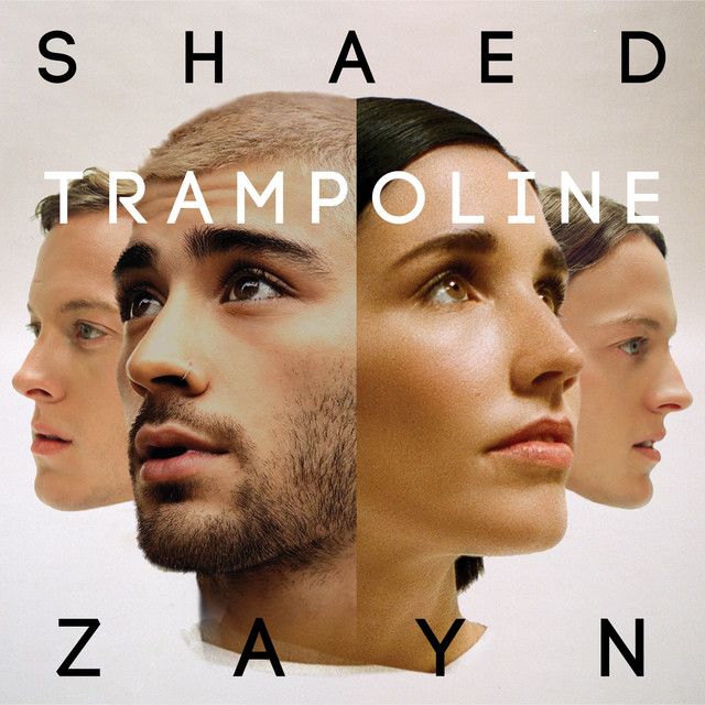 متن آهنگ Trampoline (with ZAYN) از ZAYN