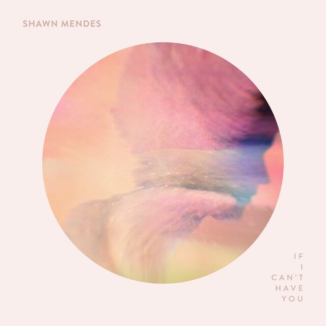 متن آهنگ If I Can't Have You از Shawn Mendes