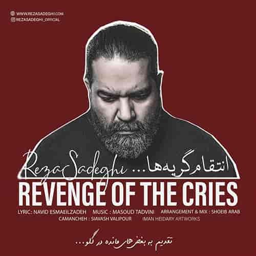 متن آهنگ انتقام گریه ها از رضا صادقی