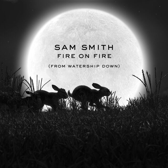 متن آهنگ Fire On Fire - From "Watership Down" از Sam Smith