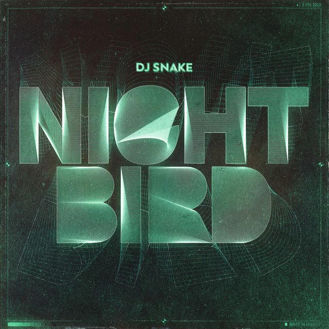 کاور آهنگ Nightbird از DJ Snake