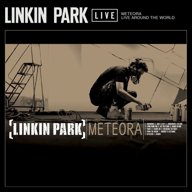 متن آهنگ From the Inside - Live in Sydney, 2010 از Linkin Pa