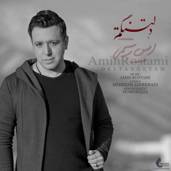 کاور آهنگ دلتنگتم از امین رستمی