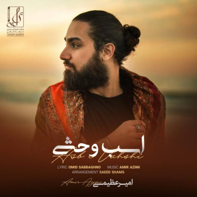 متن آهنگ اسب وحشی از امیر عظیمی