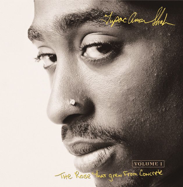 متن آهنگ Tupac Interlude از 2Pac کاور آهنگ Tupac Interlude از 2Pac