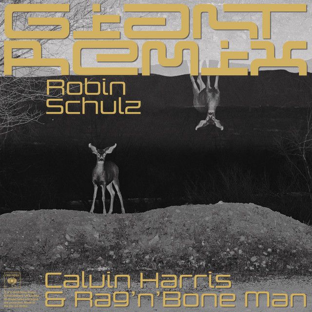 کاور آهنگ Giant - Robin Schulz Remix از Calvin Harris