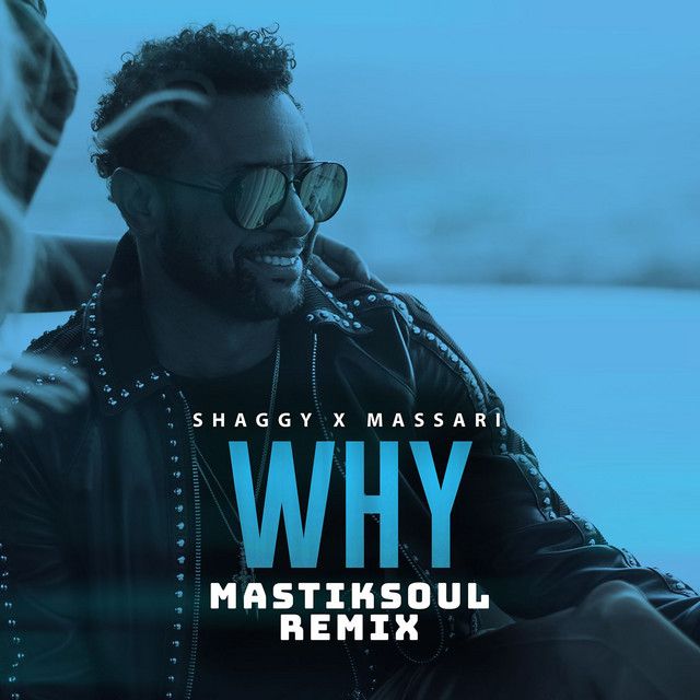 متن آهنگ Why - Mastiksoul Remix از Shaggy