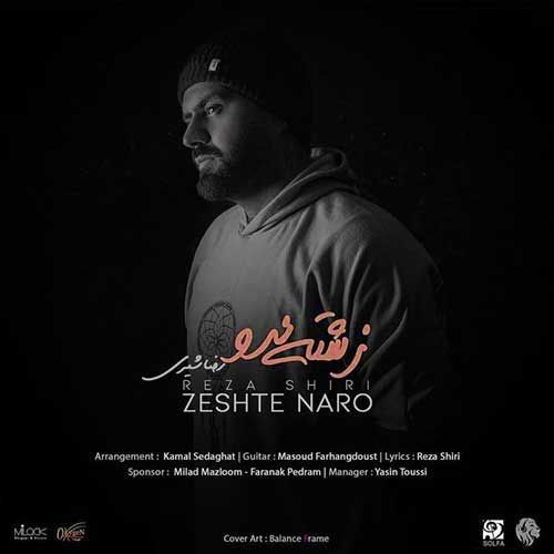 متن آهنگ زشته نرو از رضا شیری