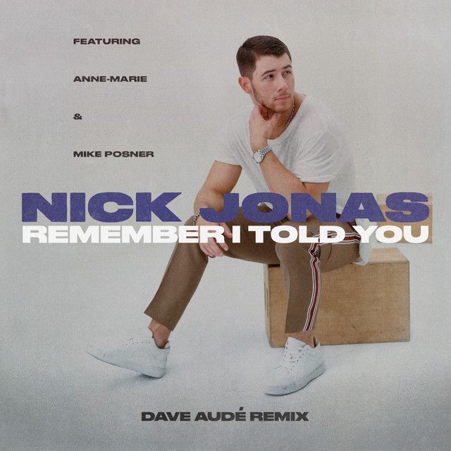 متن آهنگ Remember I Told You - Dave Audé Remix از Anne-Marie