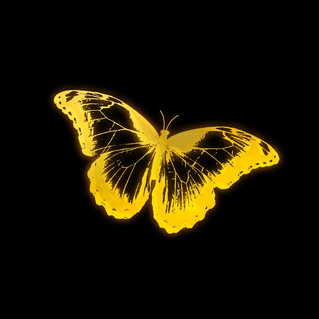 کاور آهنگ SHINE (golden hour sample) از JVKE