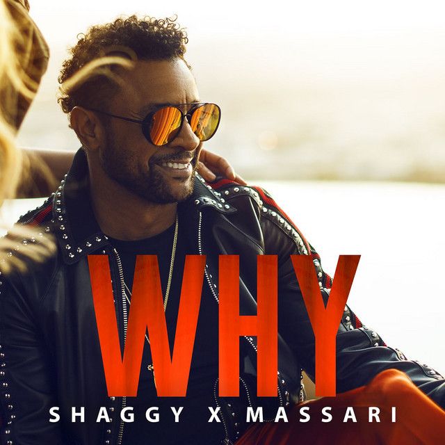 متن آهنگ Why از Shaggy