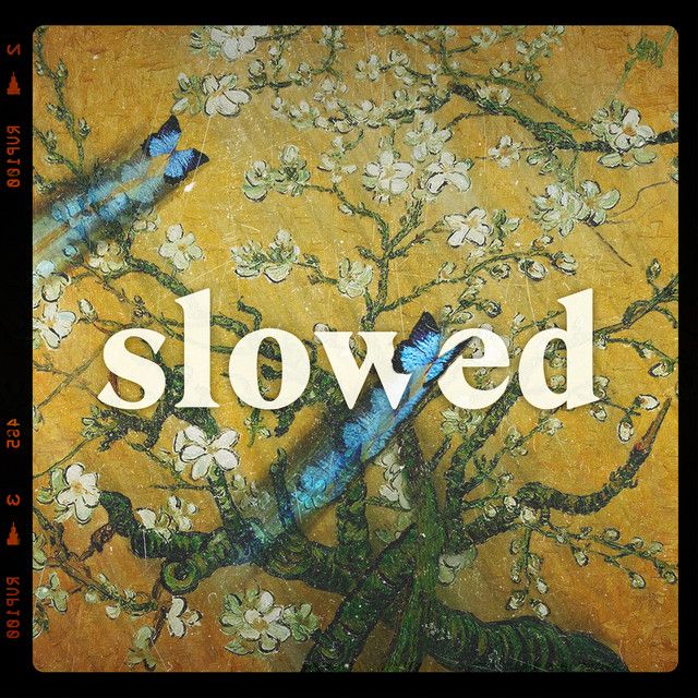 متن آهنگ golden hour - slowed to perfection از JVKE