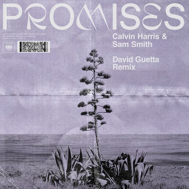 متن آهنگ Promises - David Guetta Remix از Calvin Harris