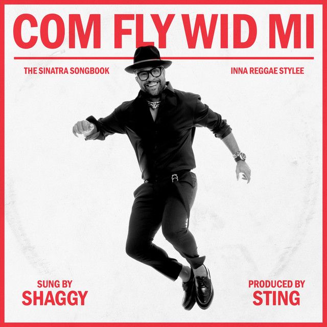 متن آهنگ Witchcraft از Shaggy کاور آهنگ Witchcraft از Shaggy