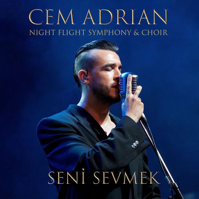 متن آهنگ Seni Sevmek (Live) از Cem Adrian