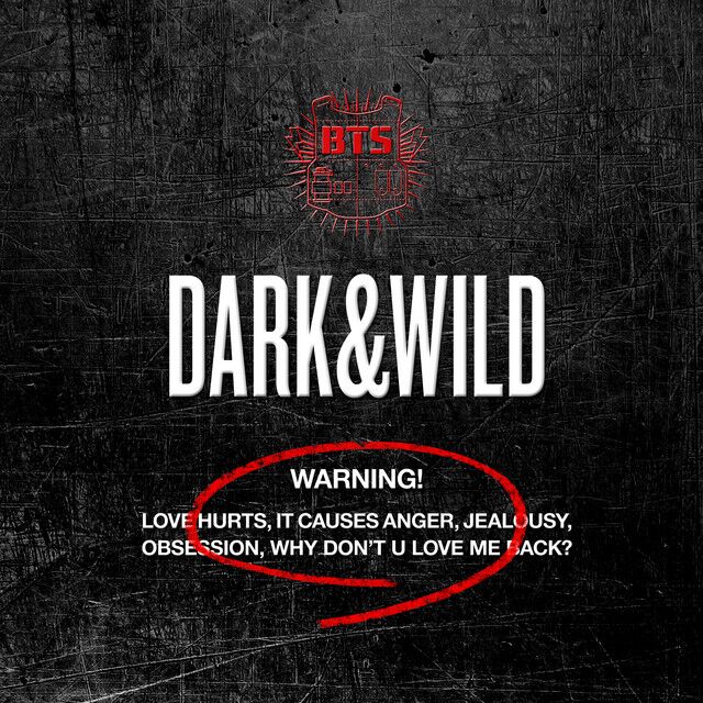متن آهنگ Danger از BTS