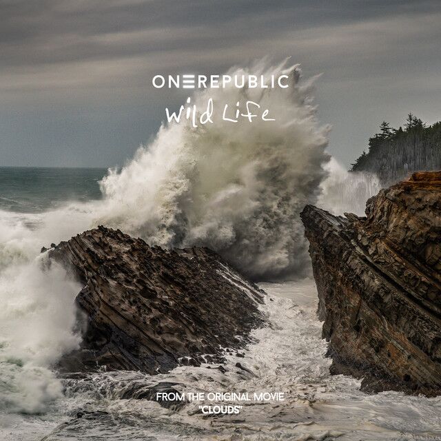 متن آهنگ Wild Life از OneRepublic