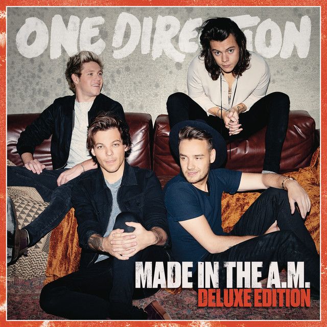 متن آهنگ Temporary Fix از One Direction کاور آهنگ Temporary Fix از One Direction
